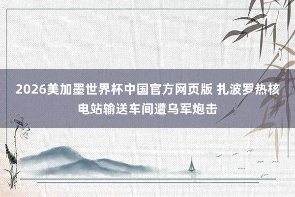 2026美加墨世界杯中国官方网页版 扎波罗热核电站输送车间遭乌军炮击