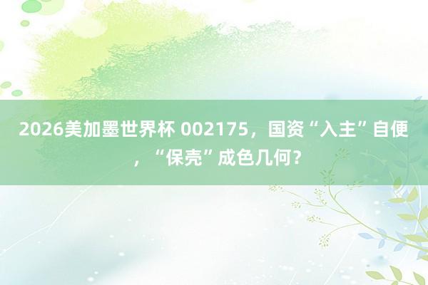2026美加墨世界杯 002175，国资“入主”自便 ，“保壳”成色几何？