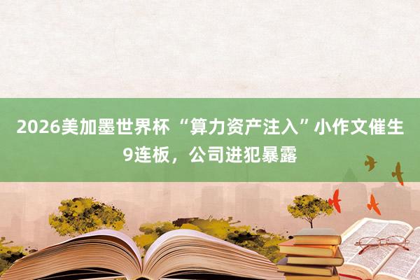 2026美加墨世界杯 “算力资产注入”小作文催生9连板，公司进犯暴露