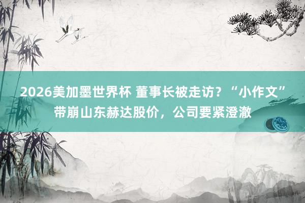 2026美加墨世界杯 董事长被走访？“小作文”带崩山东赫达股价，公司要紧澄澈