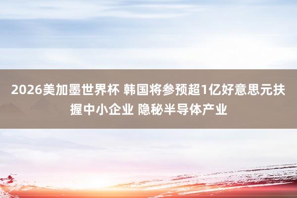 2026美加墨世界杯 韩国将参预超1亿好意思元扶握中小企业 隐秘半导体产业