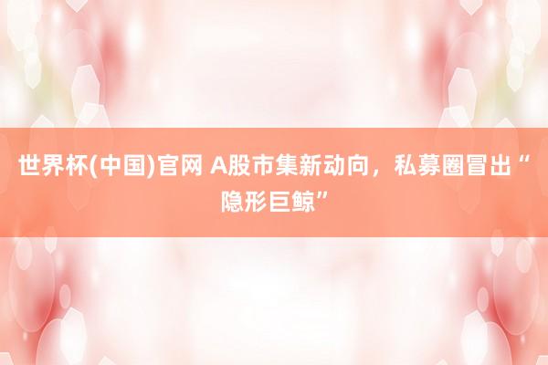世界杯(中国)官网 A股市集新动向，私募圈冒出“隐形巨鲸”