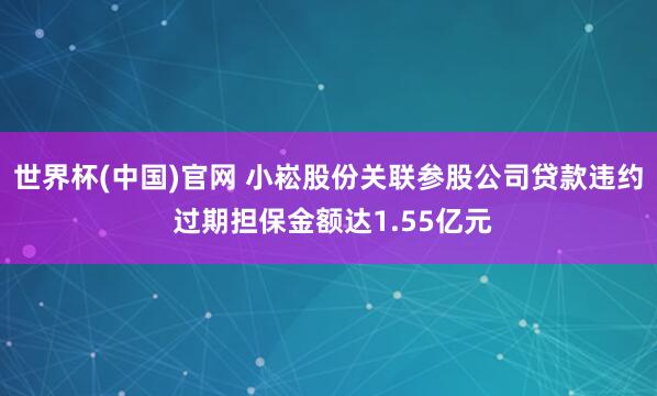 世界杯(中国)官网 小崧股份关联参股公司贷款违约 过期担保金额达1.55亿元
