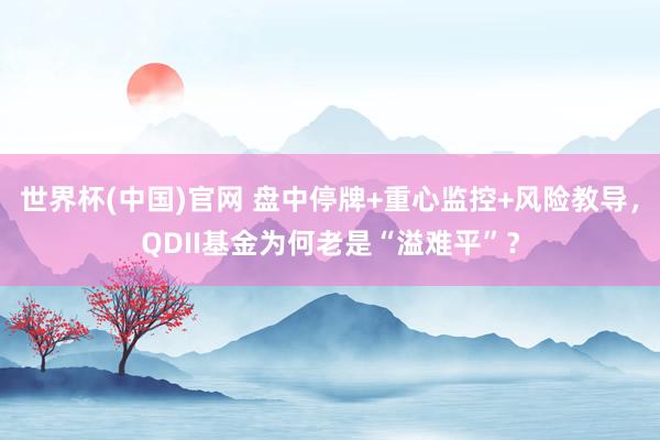 世界杯(中国)官网 盘中停牌+重心监控+风险教导，QDII基金为何老是“溢难平”？