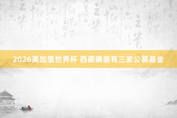2026美加墨世界杯 西藏确凿有三家公募基金