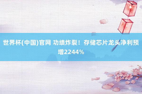 世界杯(中国)官网 功绩炸裂！存储芯片龙头净利预增2244%