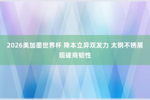 2026美加墨世界杯 降本立异双发力 太钢不锈展现磋商韧性