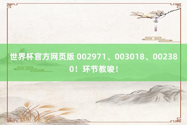 世界杯官方网页版 002971、003018、002380！环节教唆！