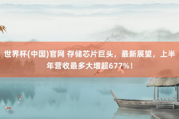 世界杯(中国)官网 存储芯片巨头，最新展望，上半年营收最多大增超677%！