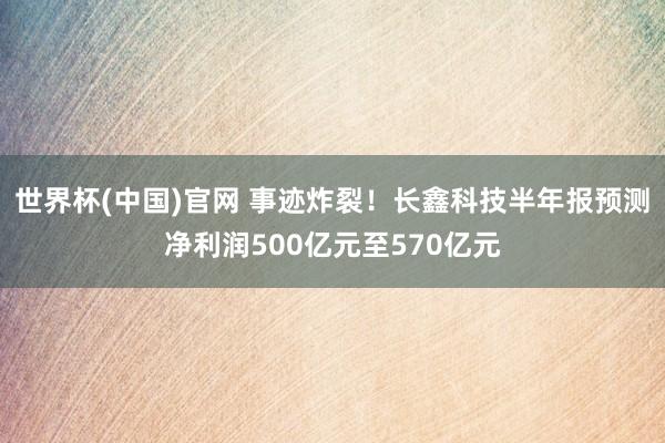 世界杯(中国)官网 事迹炸裂！长鑫科技半年报预测净利润500亿元至570亿元