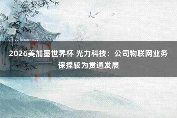 2026美加墨世界杯 光力科技：公司物联网业务保捏较为贯通发展
