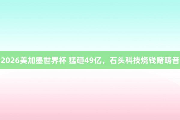 2026美加墨世界杯 猛砸49亿,石头科技烧钱赌畴昔