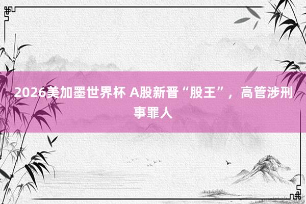 2026美加墨世界杯 A股新晋“股王”，高管涉刑事罪人