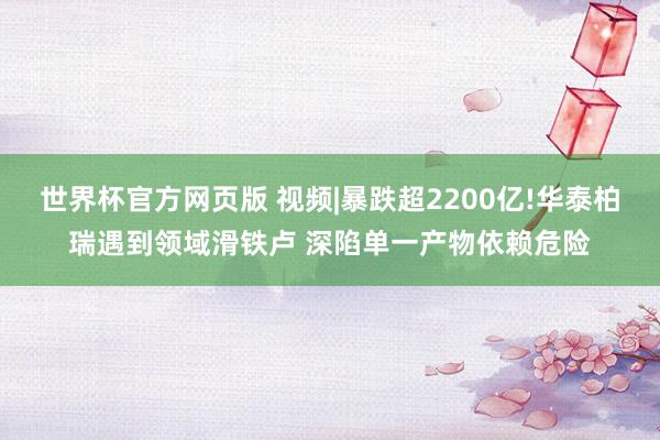世界杯官方网页版 视频|暴跌超2200亿!华泰柏瑞遇到领域滑铁卢 深陷单一产物依赖危险