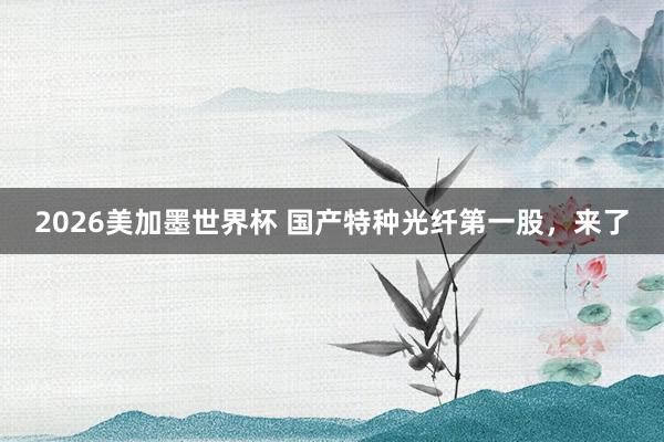 2026美加墨世界杯 国产特种光纤第一股，来了