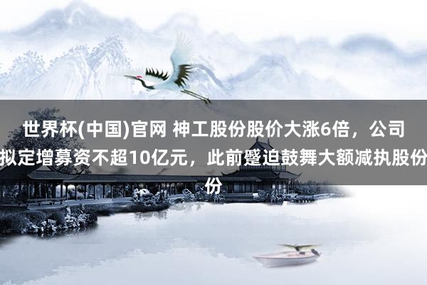 世界杯(中国)官网 神工股份股价大涨6倍，公司拟定增募资不超10亿元，此前蹙迫鼓舞大额减执股份