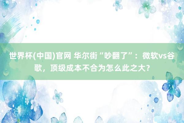 世界杯(中国)官网 华尔街“吵翻了”：微软vs谷歌，顶级成本不合为怎么此之大？