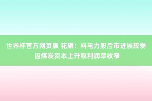 世界杯官方网页版 花旗：料电力股后市进展较弱 因煤炭资本上升致利润率收窄
