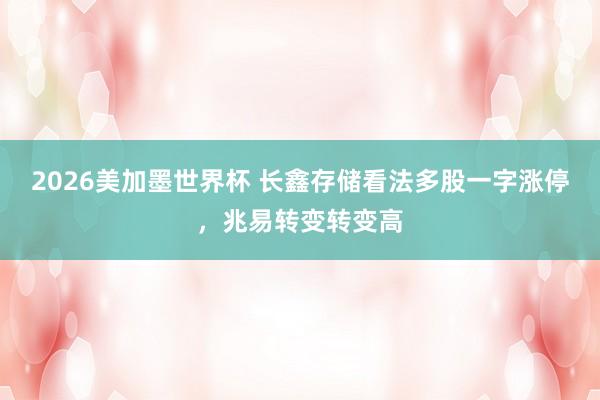 2026美加墨世界杯 长鑫存储看法多股一字涨停，兆易转变转变高