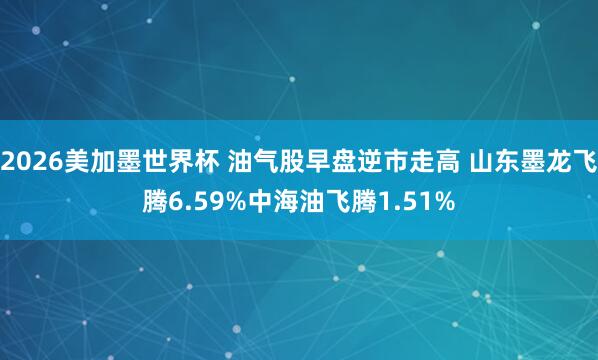 2026美加墨世界杯 油气股早盘逆市走高 山东墨龙飞腾6.59%中海油飞腾1.51%