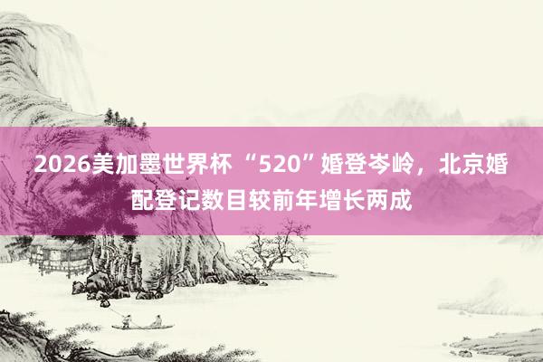 2026美加墨世界杯 “520”婚登岑岭，北京婚配登记数目较前年增长两成