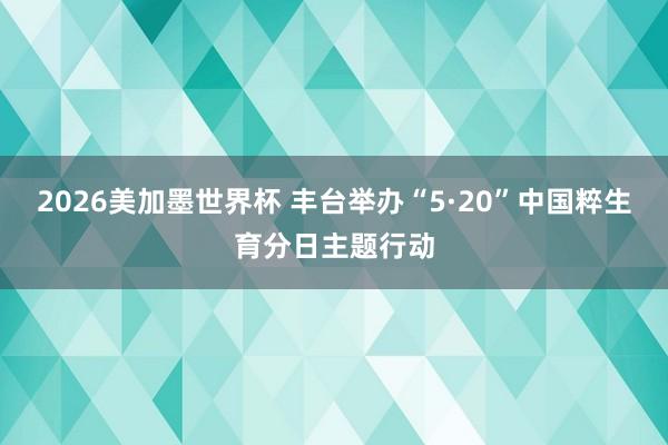 2026美加墨世界杯 丰台举办“5·20”中国粹生育分日主题行动