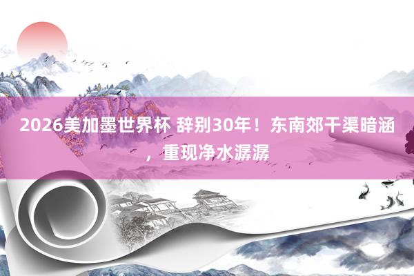 2026美加墨世界杯 辞别30年！东南郊干渠暗涵，<a href=