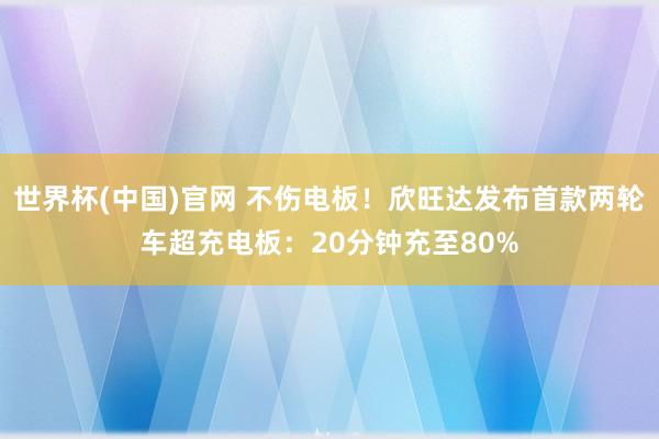 世界杯(中国)官网 不伤电板!欣旺达发布首款两轮车超充电板:20分钟充至80%