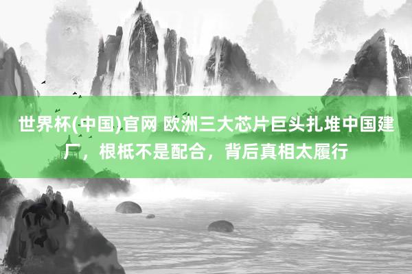 世界杯(中国)官网 欧洲三大芯片巨头扎堆中国建厂,根柢不是配合,背后真相太履行