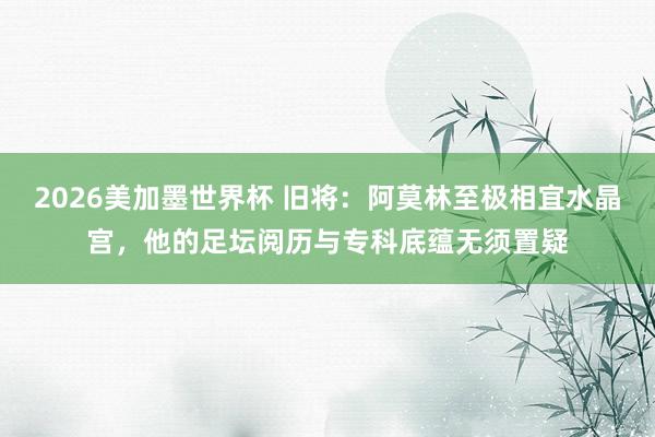 2026美加墨世界杯 旧将：阿莫林至极相宜水晶宫，他的足坛阅历与专科底蕴无须置疑