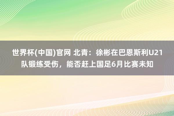 世界杯(中国)官网 北青：徐彬在巴恩斯利U21队锻练受伤，能否赶上国足6月比赛未知