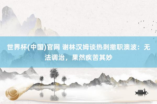 世界杯(中国)官网 谢林汉姆谈热刺撤职澳波：无法调治，果然疾苦其妙
