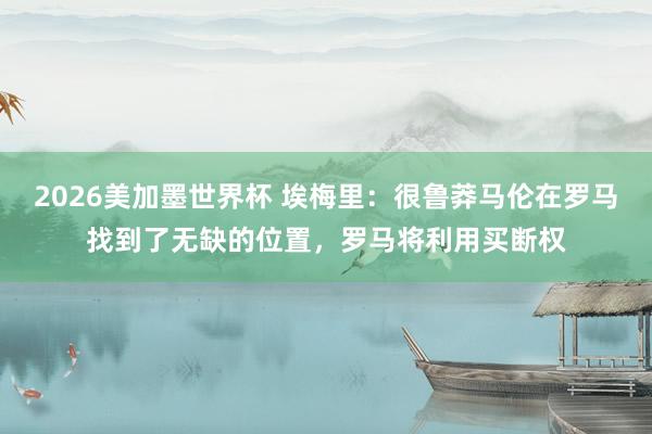 2026美加墨世界杯 埃梅里：很鲁莽马伦在罗马找到了无缺的位置，罗马将利用买断权