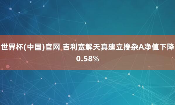 世界杯(中国)官网 吉利宽解天真建立搀杂A净值下降0.58%