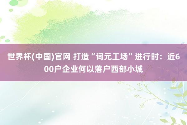 世界杯(中国)官网 打造“词元工场”进行时：近600户企业何以落户西部小城