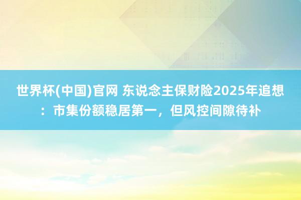 世界杯(中国)官网 东说念主保财险2025年追想:市集份额稳居第一,但风控间隙待补