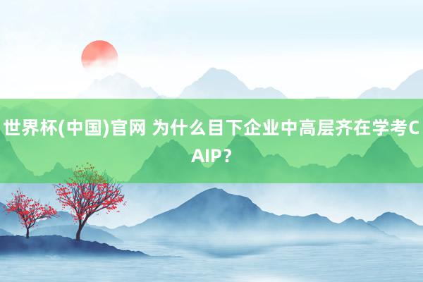 世界杯(中国)官网 为什么目下企业中高层齐在学考CAIP？