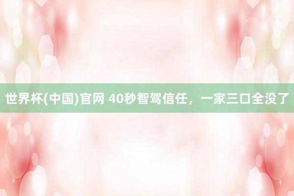 世界杯(中国)官网 40秒智驾信任，一家三口全没了
