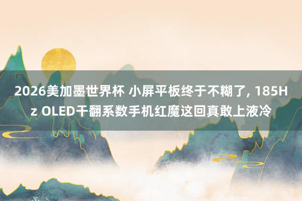 2026美加墨世界杯 小屏平板终于不糊了， 185Hz OLED干翻系数手机红魔这回真敢上液冷