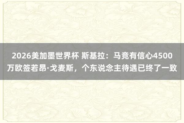 2026美加墨世界杯 斯基拉：马竞有信心4500万欧签若昂·戈麦斯，个东说念主待遇已终了一致
