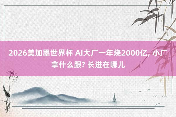 2026美加墨世界杯 AI大厂一年烧2000亿， 小厂拿什么跟? 长进在哪儿
