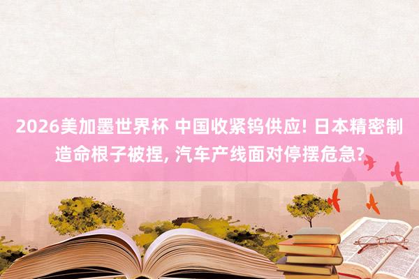 2026美加墨世界杯 中国收紧钨供应! 日本精密制造命根子被捏, 汽车产线面对停摆危急?