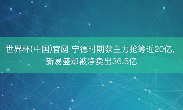 世界杯(中国)官网 宁德时期获主力抢筹近20亿, 新易盛却被净卖出36.5亿