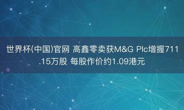 世界杯(中国)官网 高鑫零卖获M&G Plc增握711.15万股 每股作价约1.09港元
