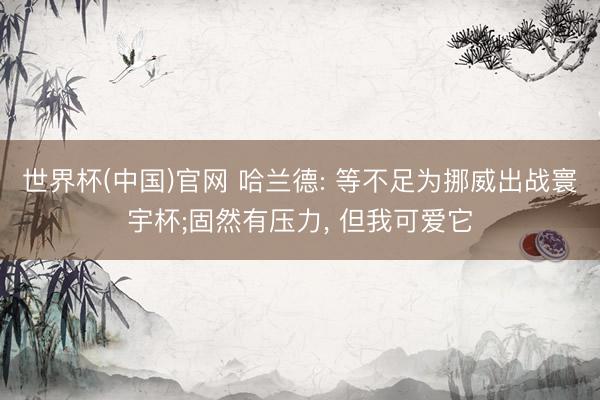 世界杯(中国)官网 哈兰德: 等不足为挪威出战寰宇杯;固然有压力， 但我可爱它