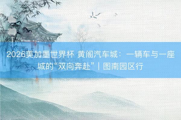 2026美加墨世界杯 黄阁汽车城：一辆车与一座城的“双向奔赴”｜图南园区行