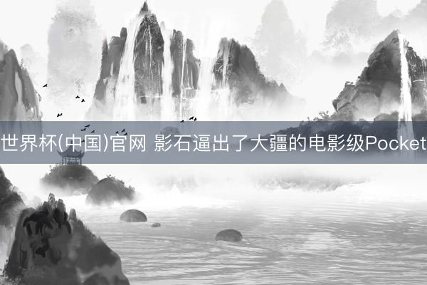 世界杯(中国)官网 影石逼出了大疆的电影级Pocket