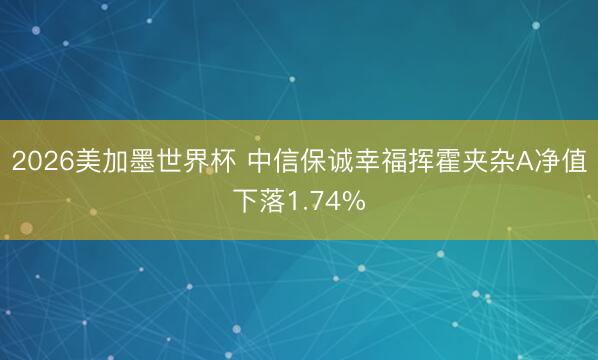 2026美加墨世界杯 中信保诚幸福挥霍夹杂A净值下落1.74%
